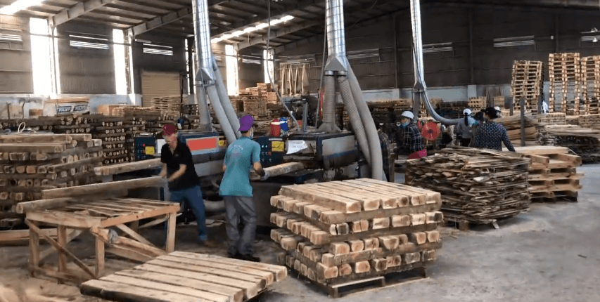 原木多片鋸生產(chǎn)線(xiàn)，越南????客戶(hù)使用現(xiàn)